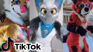 Furry Tiktok Compilation 5 [upl. by Topper]