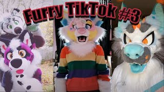 Furry Tik Tok Compilation 3 [upl. by Mazonson]