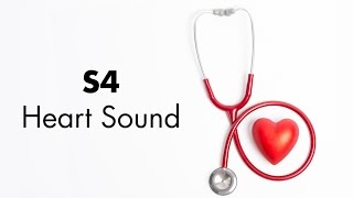 S4 Heart Sound  MEDZCOOL [upl. by Wilmott]