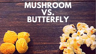 The types of popcorn kernels Mushroom amp Butterfly [upl. by Adnicaj]