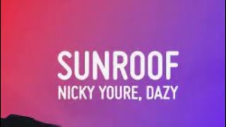 Sunroof lyrics [upl. by Rhianon]