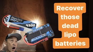 How to charge a dead lipo battery with Low Voltage Error  save and recover a discharged lipo [upl. by Eboh918]