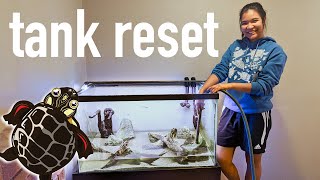 Setting up my 75 gallon TURTLE TANK again [upl. by Haon385]