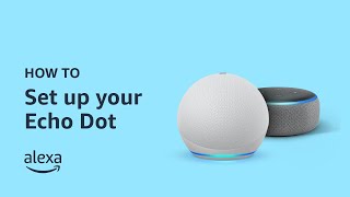 How to Set Up Echo Dot [upl. by Enimassej131]