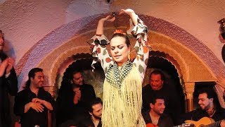 Flamenco Night at Tablao Cordobes in Barcelona Spain [upl. by Tarah844]