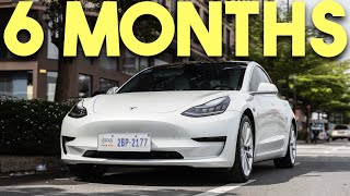 2023 Tesla Model 3 Six Months Later  Watch Before You Buy [upl. by Bakemeier]