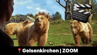 🎬 ZOOM Erlebniswelt in Gelsenkirchen 📍 [upl. by Ariana]