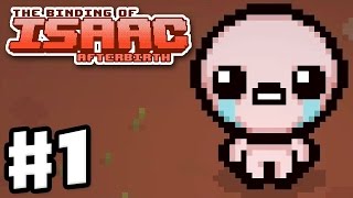 The Binding of Isaac Afterbirth  Gameplay Walkthrough Part 1  Isaac Hard Mode PC [upl. by Kitty]