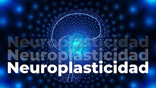 ❄️ Neuroplasticidad cerebral 3 ejercicios paso a paso [upl. by Yhtamit254]