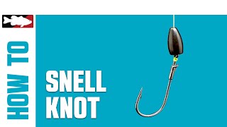 HowTo Tie a Snell Knot [upl. by Ardell]