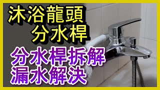 分水桿 蓮蓬頭漏水 分水杆切換有問題 沐浴龍頭分水器拆解分析及解決方法 洗澡 水龍頭 凡爾 落水頭 止洩帶 陶瓷芯 馬桶 堵塞 臉盆 廚房 更換 居家水電修繕 安裝 阿寶頻道 修EP16 [upl. by Haron157]