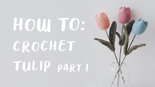 Mothers Day Special DIY Crochet Tulip Kit Part 1  daMira [upl. by Lenny869]