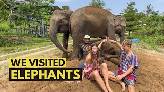 Visiting ELEPHANTS in Chiang Mai Thailand 🇹🇭 [upl. by Albert]