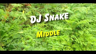 DJ Snake  Middle Lyrics [upl. by Hnib]