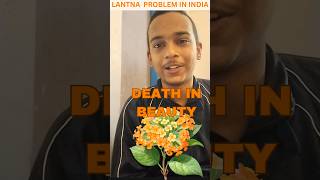 Lantana Invasive Plant Why Its a Threat to Indias Forests [upl. by Aneetsirhc]