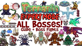 Terraria All Bosses In Order Expert Mode Guide amp Fights Easiest to Hardest How to Spawn Them [upl. by Iba]