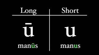 The Latin Alphabet  Vowel Pronunciation [upl. by Sirromal]