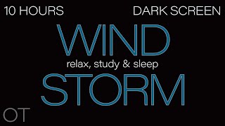 HOWLING WIND Sounds for Sleeping Relaxing Studying BLACK SCREEN Real Storm Sounds SLEEP SOUNDS [upl. by Anelac915]