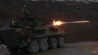 US Marines LAV25 M242 Bushmaster 25mm Tracer Live Fire [upl. by Centonze]