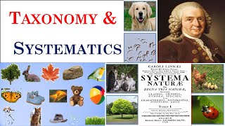 Taxonomy  Systematics  Carolus Linnaeus  Part 1 [upl. by Bradshaw]