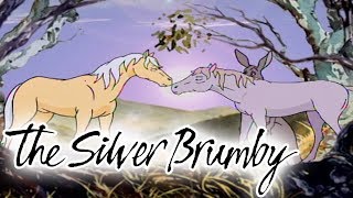 The Silver Brumby  Episode 2  By The Moonlight  HD  Full Episode  Cartoons For Kids [upl. by Strickman]