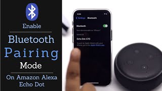 How to Put Amazon Echo Dot in Pairing Mode [upl. by Dimitri]