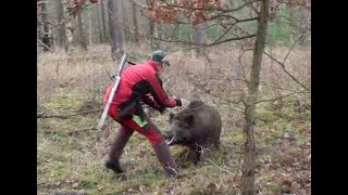 Service Dog Rescues Hunter in the Wild javali barhog wildboarattack wildschweinangriff [upl. by Janet724]