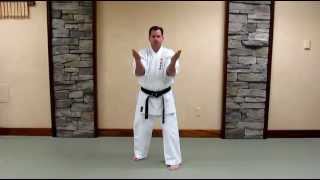 Uechi Ryu Sanchin Kata  Basic Study Guide [upl. by Ative525]