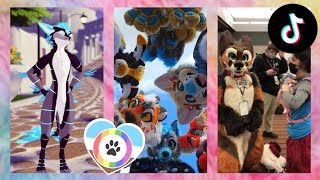 Furry TikToks Compilation 27 [upl. by Ecilef]