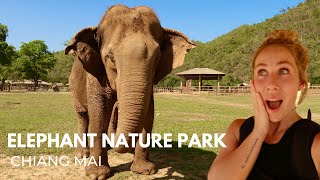 CHIANG MAI ELEPHANT NATURE PARK SANCTUARY amp MORE [upl. by Aenitsirhc570]