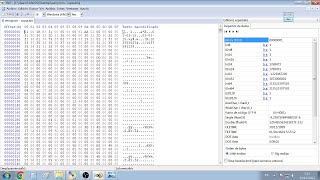 MEJOR EDITOR HEXADECIMAL HXD COMO USARLO [upl. by Aihselat59]