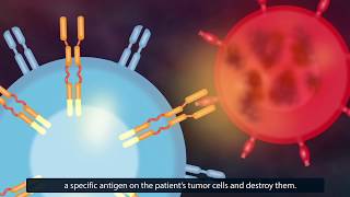 CAR TCell Therapy How Does It Work [upl. by Ameluz77]