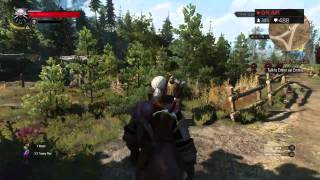 The Witcher 3 Wild Hunt  Brothers In Arms Nilfgaard  Talk To Emhyr Var Emreis [upl. by Annaitsirhc]