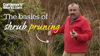 The basics of shrub pruning [upl. by William]