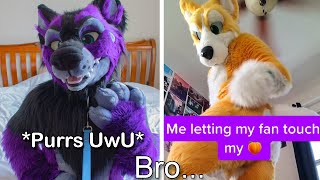 Tiktok Furries SCARE ME [upl. by Nepean]