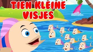 Tien kleine visjes  Nederlandse kinderliedjes [upl. by Notxap]