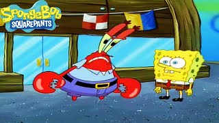 quotPlanktonquot  Season 1 Episode 3  SpongeBob SquarePants [upl. by O'Neill]