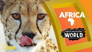 Africa  Destination World [upl. by Camilla310]