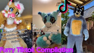 Furry Tiktok Compilation 48 [upl. by Zehc]