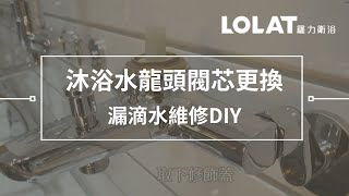 水龍頭漏水維修DIY－5分鐘更換浴室沐浴水龍頭閥芯 [upl. by Atsirc147]