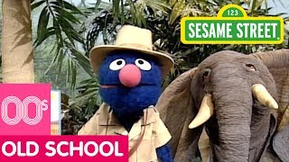 Sesame Street Grover and the Elephant [upl. by Doll]