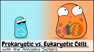 Prokaryotic vs Eukaryotic Cells Updated [upl. by Aloisius]