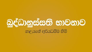 Buddhanussathi Bawanawa  Nauyane Ariyadhamma Thero [upl. by Cristy]