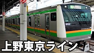 空中散歩ができる路線 上野東京ラインのご紹介【1906首都圏2】上野駅→品川駅 63004 [upl. by Ainyt]