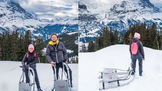 Grindelwald Sledding Run  Alpine Swiss mountain sled experience [upl. by Ahsienauq]