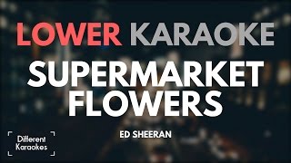 Ed Sheeran  Supermarket Flowers LOWER Key Karaoke [upl. by Adlecirg]