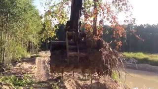 Transplanting Large Trees with Excavator [upl. by Kcirdnekel]