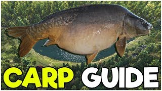 CARP Fishing Guide  Fishing Planet Tips [upl. by Nonnek]