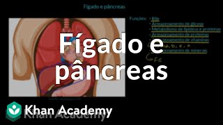 Fígado e pâncreas [upl. by Euhsoj]