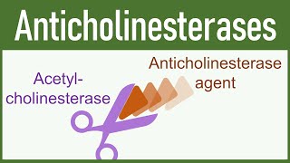 Anticholinesterase Agents Organophosphates amp Carbamates [upl. by Leunamne]